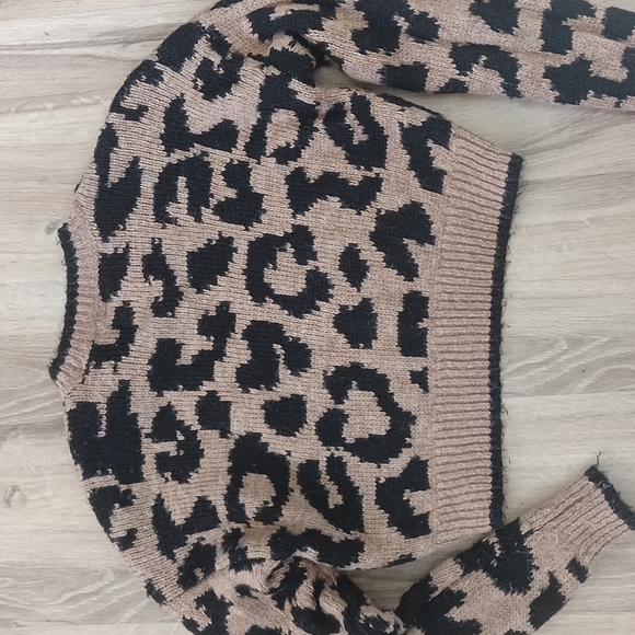 Hollister Leopard Sweater - Picture 4 of 4
